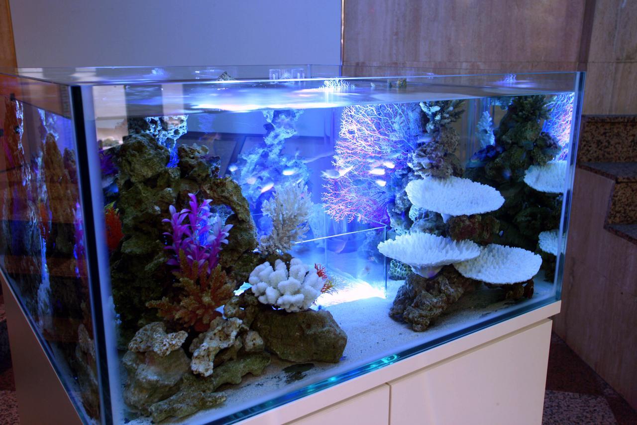 Hotel Aqua Blue Yokosuka (Adults Only) Buitenkant foto